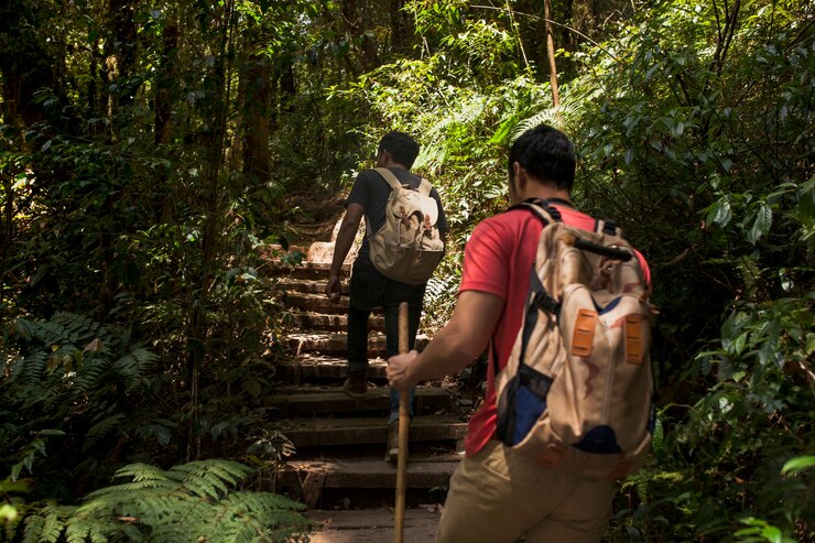 Hiking and Trekking in Brazil: Exploring the Wilderness