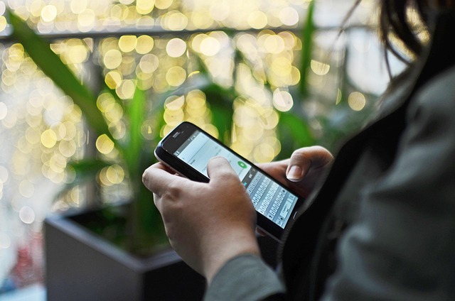 entrepreneur, cellular, phone, technology, marketing, social media, chat, bussines, cell phones, android, whatsapp, cybersecurity, on-line, wifi, internet, text, message, whatsapp, whatsapp, whatsapp, whatsapp, whatsapp, cybersecurity, cybersecurity