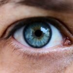 Close-up of a blue eye showing detailed iris patterns, suitable for optometry and vision themes.